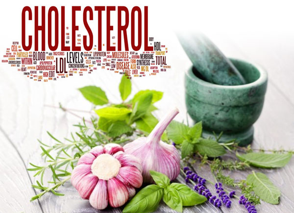 6 Best Cholesterol Lowering Herbs Dr Sam Robbins 3110