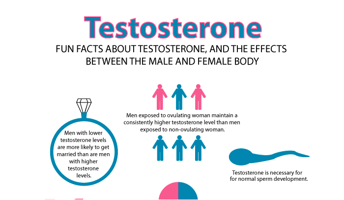 What Causes Low Testosterone? Dr. Sam Robbins