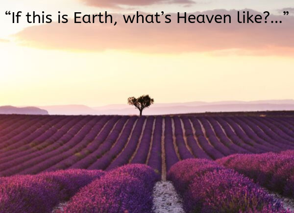 “If this is Earth, what’s Heaven like?…”