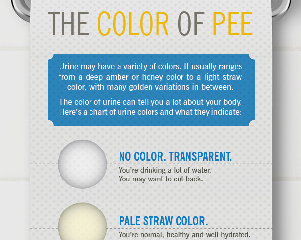 What The Color Of Your Pee Means Dr Sam Robbins