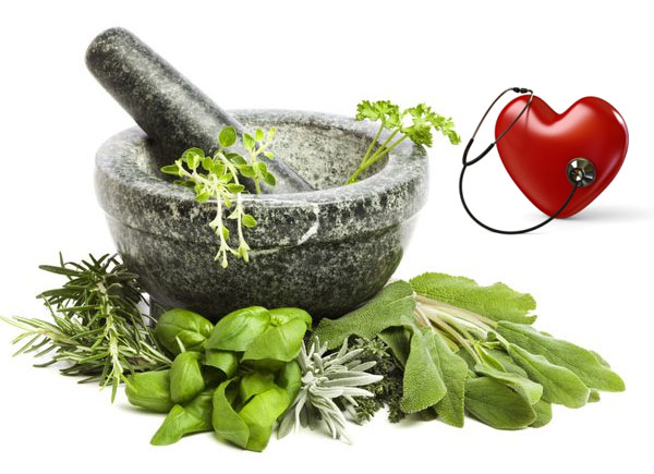 cholesterol-lowering-herbs-dr-sam-robbins