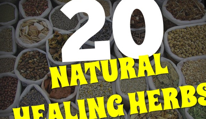 20 Top Natural Healing Herbs and Spices