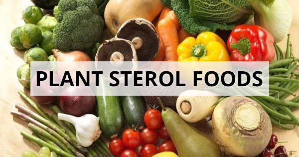 Plant Sterol Foods