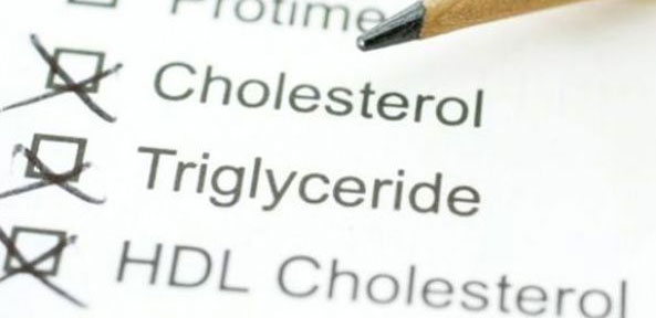 cholesterol-triglycerides-hdl-ldl