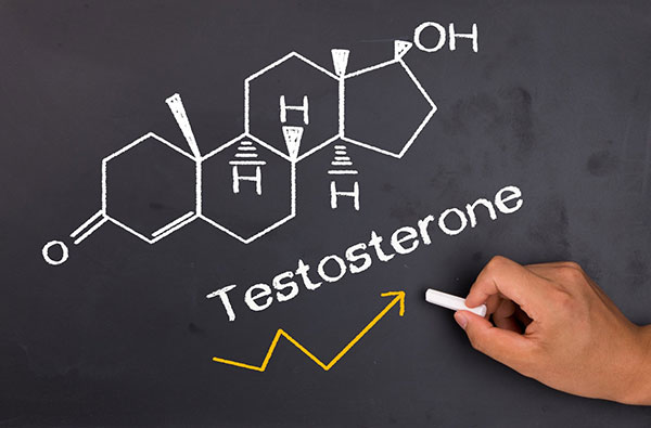 Why Increasing Testosterone Can Be Bad For You Unless You Do This