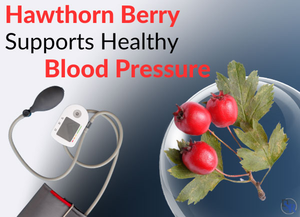 Hawthorn Berry - What Form Supports Healthy Blood Pressure?