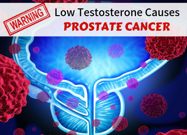 WARNING Low Testosterone Causes Prostate Cancer Dr. Sam