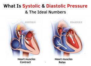 What Is Systolic & Diastolic Pressure & The Ideal Numbers