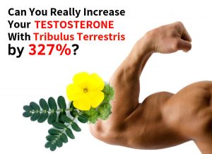 Can You Really Increase Your Testosterone With Tribulus Terrestris by 327%?
