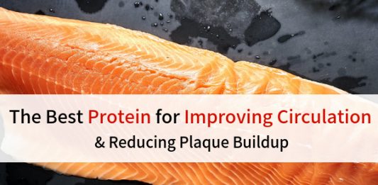 The Best Protein For Improving Circulation and Reducing Plague Buildup