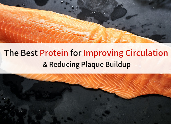 The Best Protein For Improving Circulation and Reducing Plague Buildup