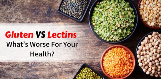 Gluten vs Lectins - What’s Worse For Your Health?