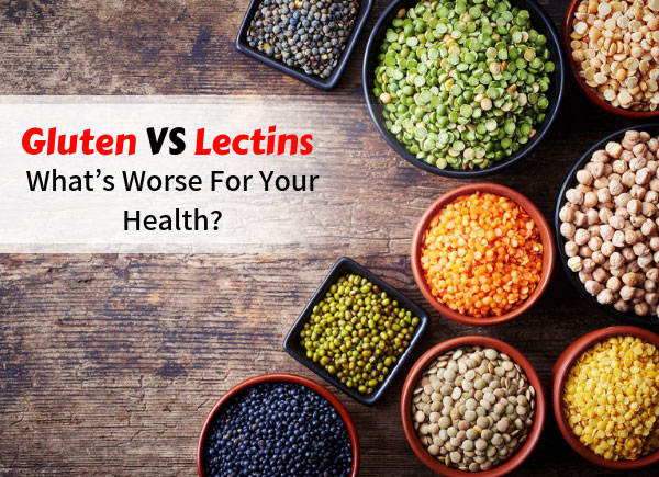 Gluten vs Lectins - What’s Worse For Your Health?
