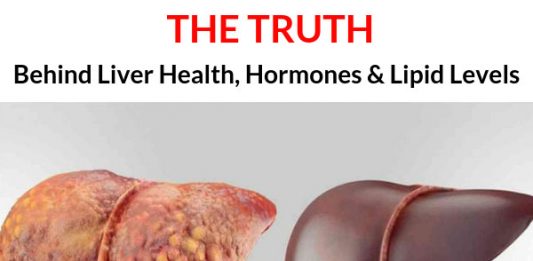 The Truth Behind Liver Health, Hormones & Lipid Levels