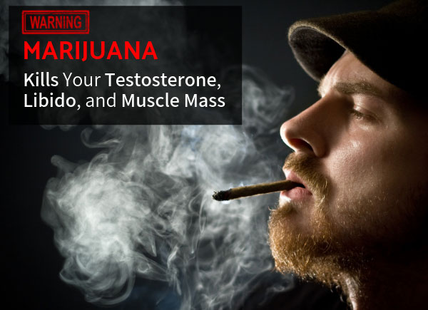 WARNING: Pot, Marijuana and THC Kills Your Testosterone, Libido, and Muscle Mass