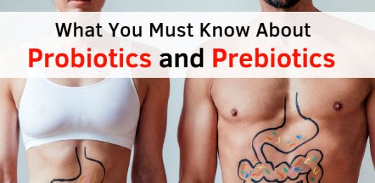 What You Must Know About Probiotics and Prebiotics