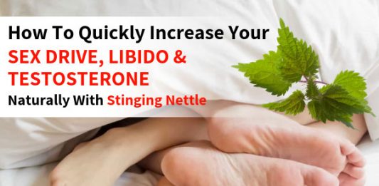 How To Quickly Increase Your Sex Drive, Libido & Testosterone Naturally With Stinging Nettle [Clinically Proven Research]