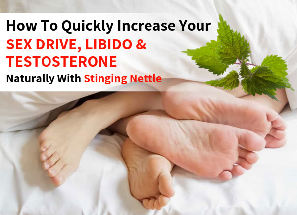 How To Quickly Increase Your Sex Drive, Libido & Testosterone Naturally With Stinging Nettle [Clinically Proven Research]