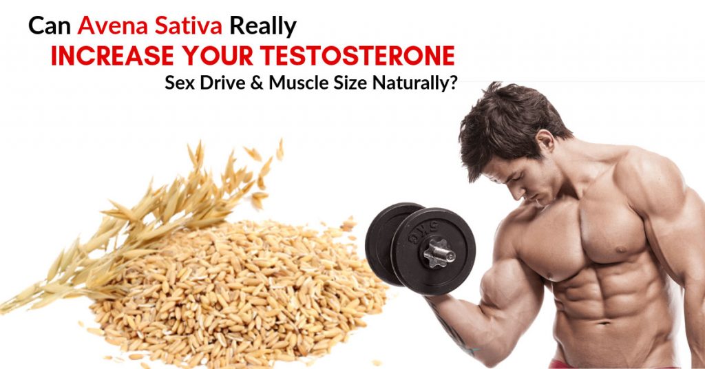 Can Avena Sativa Really Increase Your Testosterone Sex Drive And Muscle