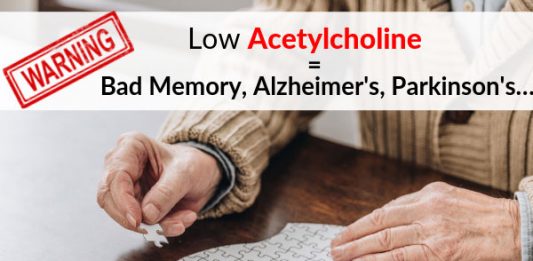 WARNING: Low Acetylcholine = Bad Memory, Alzheimer's, Parkinson's
