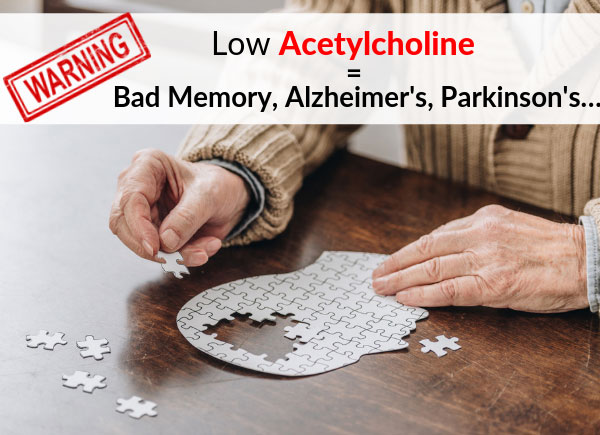 WARNING: Low Acetylcholine = Bad Memory, Alzheimer's, Parkinson's