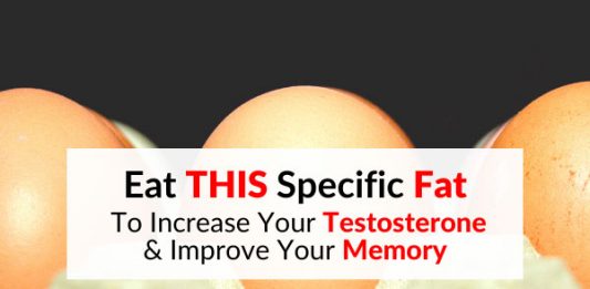 Eat THIS Specific Fat To Increase Your Testosterone & Improve Your Memory