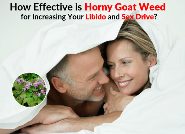 How Effective is Horny Goat Weed for Increasing Your Libido and Sex Drive?