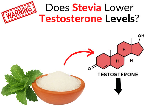 WARNING: Does Stevia Lower Testosterone Levels?