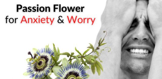 Passion Flower for Anxiety & Worry – Pros, Cons & Warnings