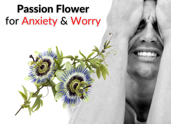 Passion Flower for Anxiety & Worry – Pros, Cons & Warnings