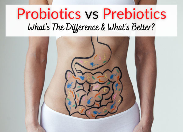 Probiotics vs Prebiotics - What’s The Difference & What’s Better?
