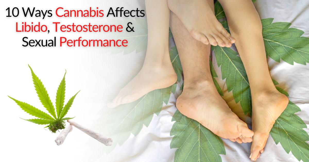 10 Ways Cannabis Affects Libido Testosterone And Sexual Performance Dr