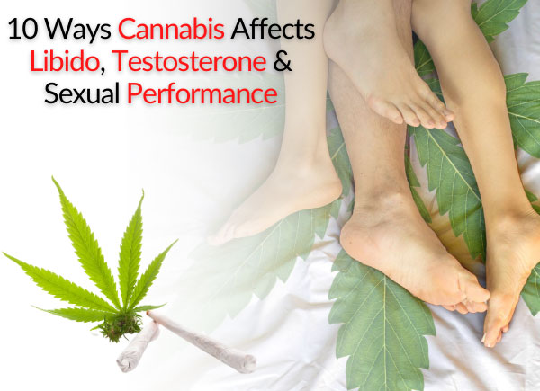 10 Ways Cannabis Affects Libido, Testosterone & Sexual Performance