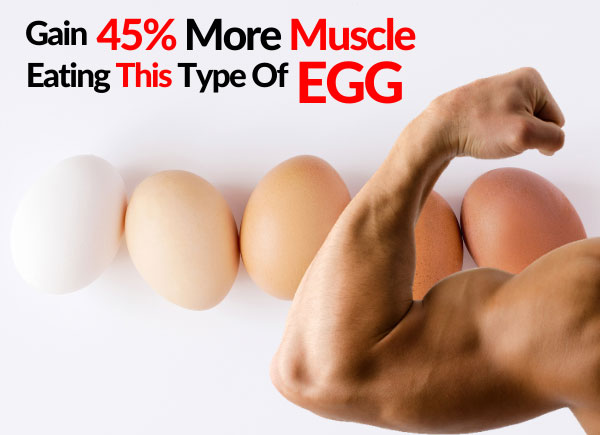 Gain 45% More Muscle Eating This Type Of Egg
