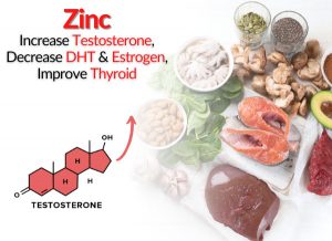 Zinc - Increase Testosterone, Decrease DHT & Estrogen, Improve Thyroid