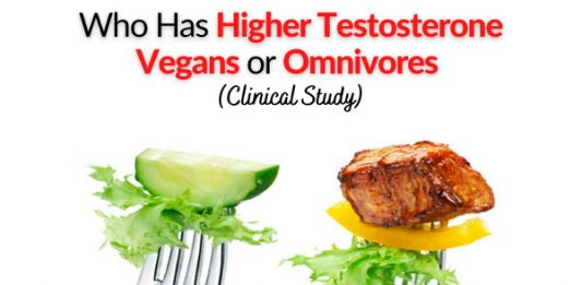 Who Has Higher Testosterone - Vegans or Omnivores (Clinical Study)