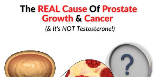 The REAL Cause Of Prostate Growth & Cancer