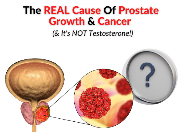 The REAL Cause Of Prostate Growth & Cancer