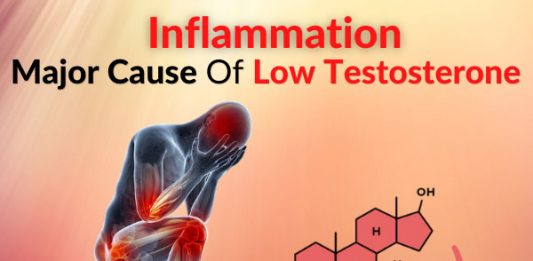 Inflammation - Major Cause Of Low Testosterone [Clinical Study]