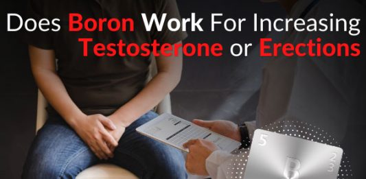 Does Boron Work For Increasing Testosterone or Erections