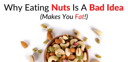 Why Eating Nuts Is A Bad Idea (Makes You Fat!)