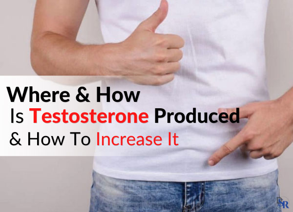 Where & How Is Testosterone Produced & How To Increase It