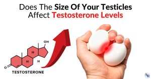 Does The Size Of Your Testicles Affect Testosterone Levels