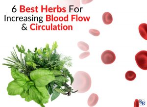 6 Best Herbs For Increasing Blood Flow & Circulation