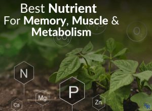 Best Nutrient For Memory, Muscle & Metabolism