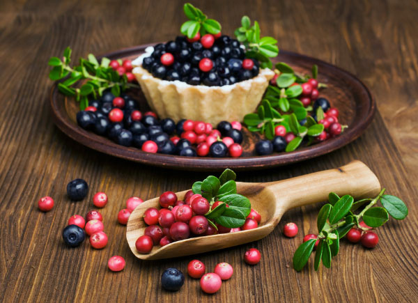 berries | Dr. Sam Robbins berries