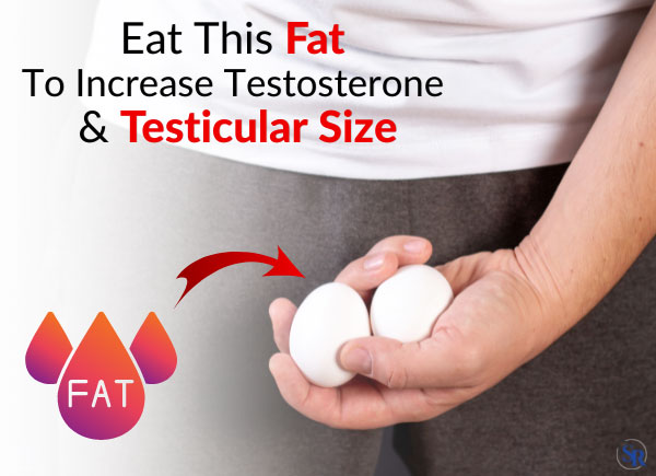 Eat This Fat To Increase Testosterone & Testicular Size [Clinical Study]