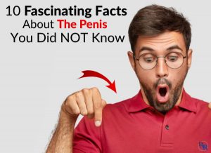 10 Fascinating Facts About The Penis You Did NOT Know