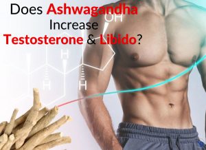 Does Ashwagandha Increase Testosterone & Libido? Warnings & Benefits