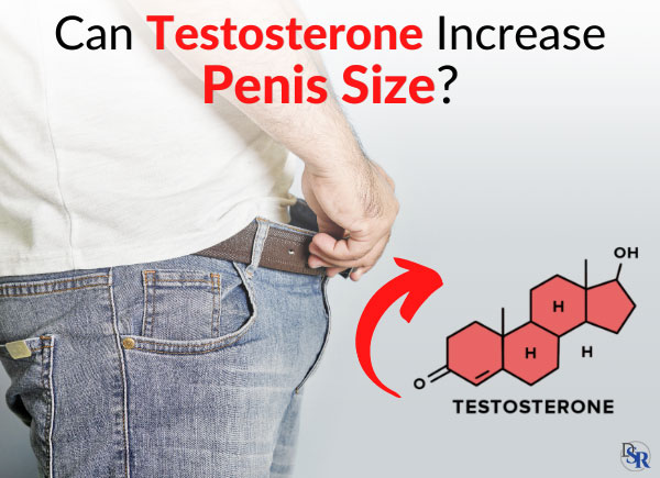 Can Testosterone Increase Penis Size?